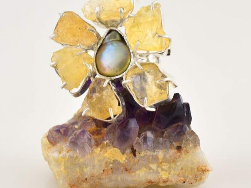 anillo [col10-pc]