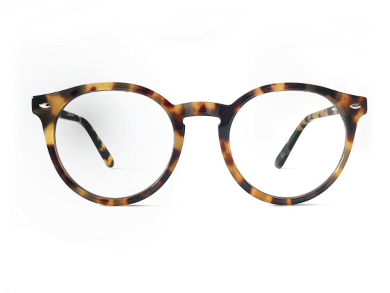 Roma Light Brown Tortoise 